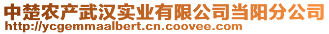 中楚農(nóng)產(chǎn)武漢實業(yè)有限公司當陽分公司