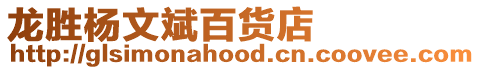 龍勝楊文斌百貨店
