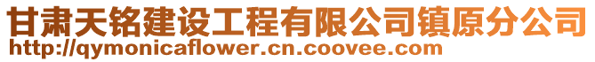 甘肅天銘建設(shè)工程有限公司鎮(zhèn)原分公司