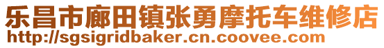 樂昌市廊田鎮(zhèn)張勇摩托車維修店