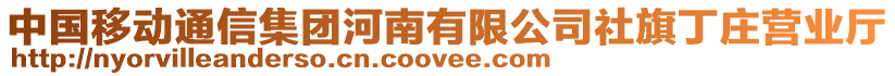 中國移動通信集團河南有限公司社旗丁莊營業(yè)廳