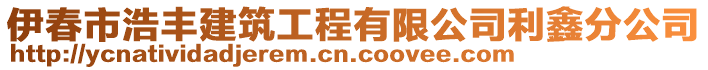 伊春市浩豐建筑工程有限公司利鑫分公司