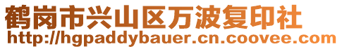 鹤岗市兴山区万波复印社