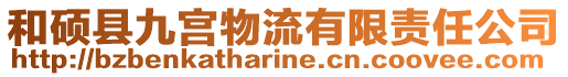 和碩縣九宮物流有限責(zé)任公司