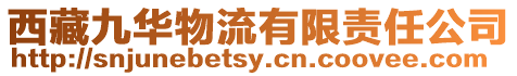 西藏九華物流有限責(zé)任公司