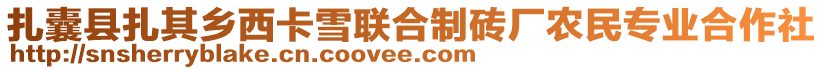 扎囊縣扎其鄉西卡雪聯合制磚廠農民專業合作社