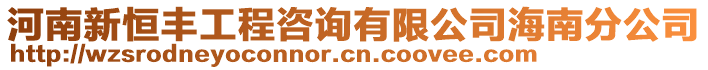 河南新恒豐工程咨詢有限公司海南分公司