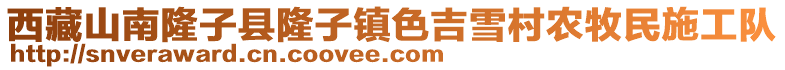 西藏山南隆子縣隆子鎮色吉雪村農牧民施工隊