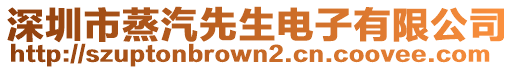 深圳市蒸汽先生電子有限公司