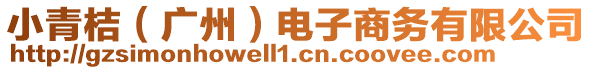 小青桔（廣州）電子商務有限公司