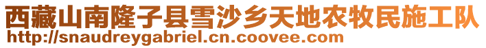西藏山南隆子縣雪沙鄉天地農牧民施工隊