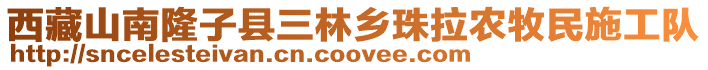 西藏山南隆子縣三林鄉(xiāng)珠拉農(nóng)牧民施工隊(duì)