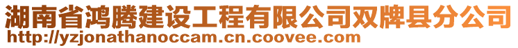 湖南省鴻騰建設(shè)工程有限公司雙牌縣分公司