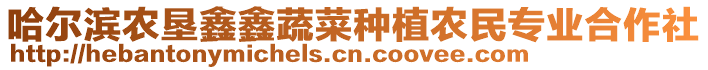 哈爾濱農(nóng)墾鑫鑫蔬菜種植農(nóng)民專業(yè)合作社