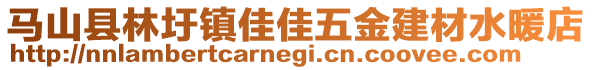 馬山縣林圩鎮(zhèn)佳佳五金建材水暖店