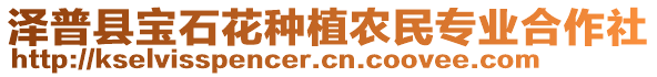 澤普縣寶石花種植農(nóng)民專(zhuān)業(yè)合作社