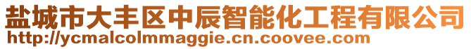 鹽城市大豐區(qū)中辰智能化工程有限公司
