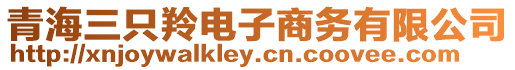青海三只羚電子商務(wù)有限公司