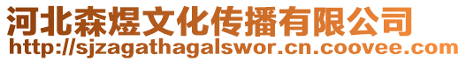 河北森煜文化傳播有限公司