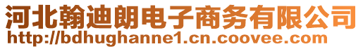 河北翰迪朗電子商務有限公司