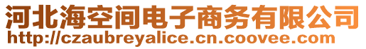 河北海空間電子商務有限公司