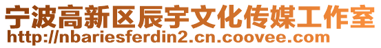寧波高新區(qū)辰宇文化傳媒工作室