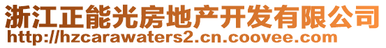 浙江正能光房地產開發有限公司