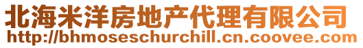 北海米洋房地產代理有限公司