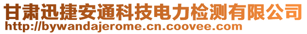 甘肅迅捷安通科技電力檢測有限公司