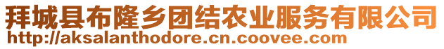 拜城縣布隆鄉(xiāng)團(tuán)結(jié)農(nóng)業(yè)服務(wù)有限公司