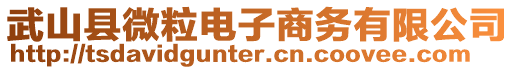 武山縣微粒電子商務(wù)有限公司