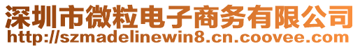 深圳市微粒電子商務(wù)有限公司