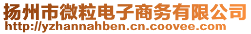 揚(yáng)州市微粒電子商務(wù)有限公司