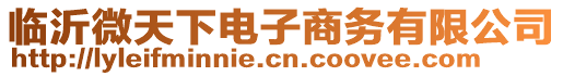 臨沂微天下電子商務(wù)有限公司