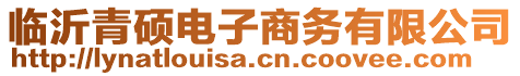 臨沂青碩電子商務(wù)有限公司