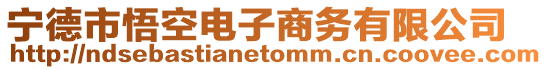 寧德市悟空電子商務(wù)有限公司