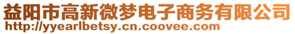 益陽市高新微夢電子商務(wù)有限公司