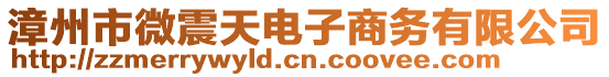 漳州市微震天電子商務(wù)有限公司