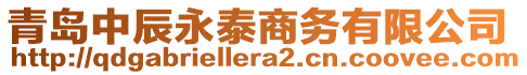 青島中辰永泰商務有限公司