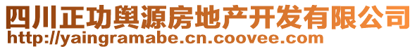 四川正功輿源房地產(chǎn)開發(fā)有限公司