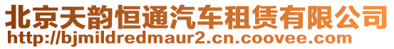 北京天韻恒通汽車租賃有限公司
