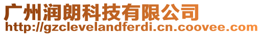 廣州潤朗科技有限公司