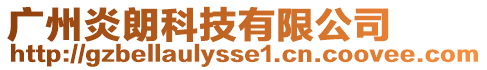 廣州炎朗科技有限公司