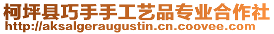 柯坪縣巧手手工藝品專業合作社
