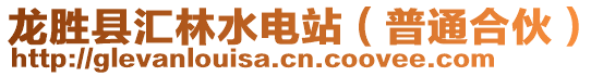 龍勝縣匯林水電站（普通合伙）