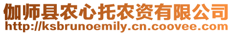 伽師縣農(nóng)心托農(nóng)資有限公司