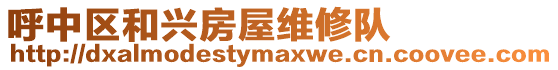 呼中區和興房屋維修隊