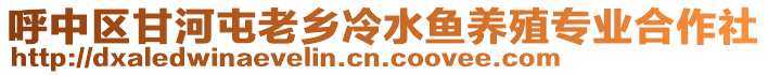 呼中区甘河屯老乡冷水鱼养殖专业合作社