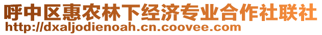 呼中區惠農林下經濟專業合作社聯社