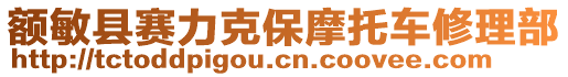 額敏縣賽力克保摩托車修理部